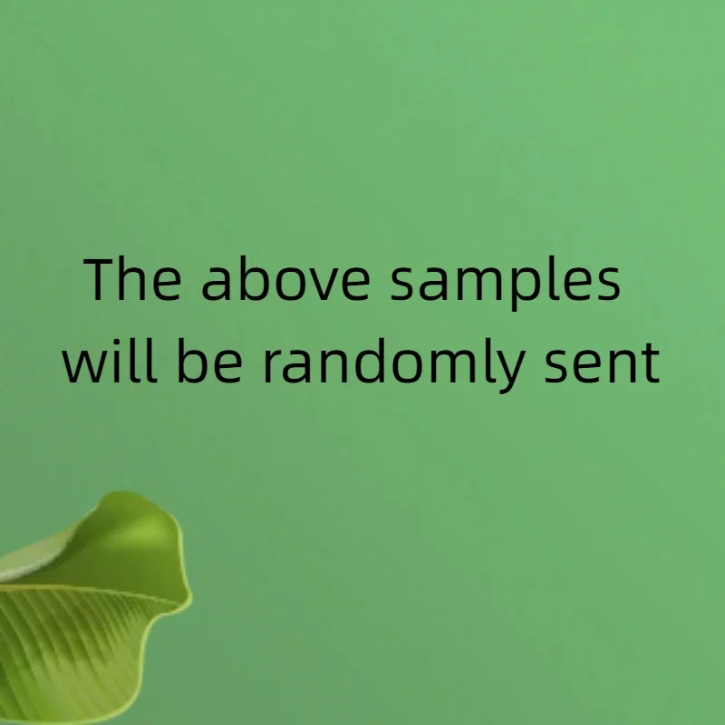 Fashionable and elegant designer style women's crossbody bag PU leather crossbody bag with tassel for girls, single bag sample r - Image 4